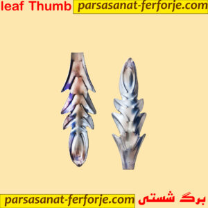 برگ شستی